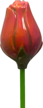 Tulipe rouge